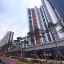 호반2차아파트 정문 옆 이미지