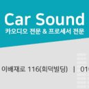 프로정성카