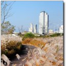 목동천길 이미지