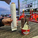 도그파파안 이미지