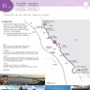 해파랑길 41코스(주문진해변~향호~남애항~광진해변~죽도정입구, 9월8일) 트레킹 안내 이미지