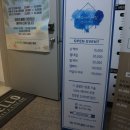은오이아네일
