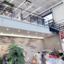 하이애니멀샵 이미지