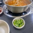 숲속애견샵 이미지