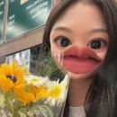 모도수산 네이버블로그