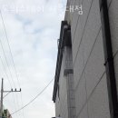 스테이509