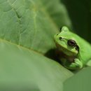 윤종흥농장 이미지