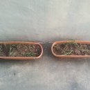 석부농장 이미지