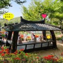 의료법인 대한불교조계종승려복지 | 편백나무숲 원두막 신명난 음악힐링