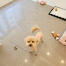 부천볼트 이미지