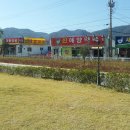 새애양약국 이미지