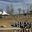 가평썰매장 | 경기도 아기랑 가볼만한곳｜가평 양떼목장, 18개월 아기와 당일치기로 다녀온 솔직 후기