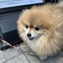 BJ냉면
