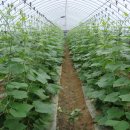 연천 마트 이미지