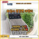 금복 공인중개사사무소 이미지