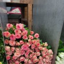 고속터미널앞 | 졸업식 꽃다발, 고속터미널 꽃시장 후기! 가격·주차 꿀팁 총정리