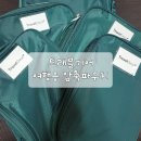 트래블기어 더담아 여행용 압축파우치 내돈내산 후기(feat. 교환)