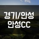 주식회사 디캐릭 | [경기/안성] 기분좋은 여유를 느낄 수 있는 곳 - 안성CC