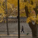 까치여관 | 11월의 어떤 날들(1) : 후지필름 X-M5 무보정 후기 | 혼자놀기 대마왕