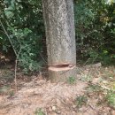 가연 태양광발전소 이미지