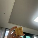 울성1로 | 8월 중순 일상
