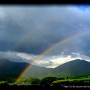 양지식당 이미지