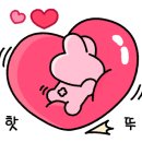 둥지별곡 이미지