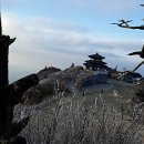 덕유산공인중개사사무소 이미지