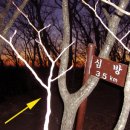 Re:수도산 가야산 종주 질문 이미지