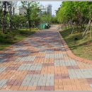 동탄신도시보행자도로 이미지