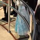 주식회사 인스타짐 독산역점 | &lt;나 혼자 도쿄여행&gt; 디즈니랜드, 놀이기구 후기