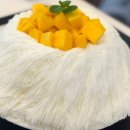앨리스702 | 제주시청 빙수맛집 앨리스 생망고빙수 후기