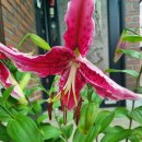 나리뷰티 이미지