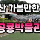 경산공룡박물관 이미지