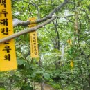 백복령펜션하우스식당 이미지