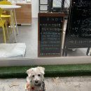 온새네 간식점 네이버블로그