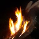 수룡폭포화장실 | 충북 수룡폭포 가족 캠핑후기