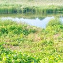 구송동길 이미지