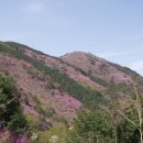 차리인동네 이미지