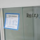 옐레드 동탄예당점 | (동탄강아지유치원) 반려견을 믿고 맡길 수 있는 '옐레드 동탄예당점'