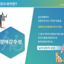 미래아이티협동조합