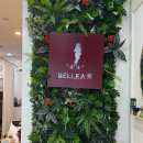 우미파크빌5차(22005) | [뷰티] 목포 '벨라미' 피부관리실 하체관리 후기