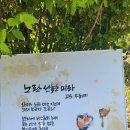 금화작은도서관 이미지