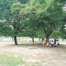 여주-0681 이미지