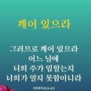 새싹회관