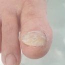 네일디바NailDiva