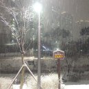 아름동공영주차장 이미지