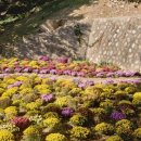 좌천체육공원 이미지