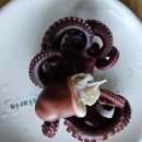 마레미오 이미지