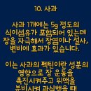 안명섭 Daum카페